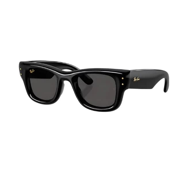 Asap Rocky Wayfarer Puffer 4940