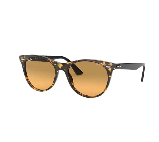 Wayfarer II 2185 Evolve