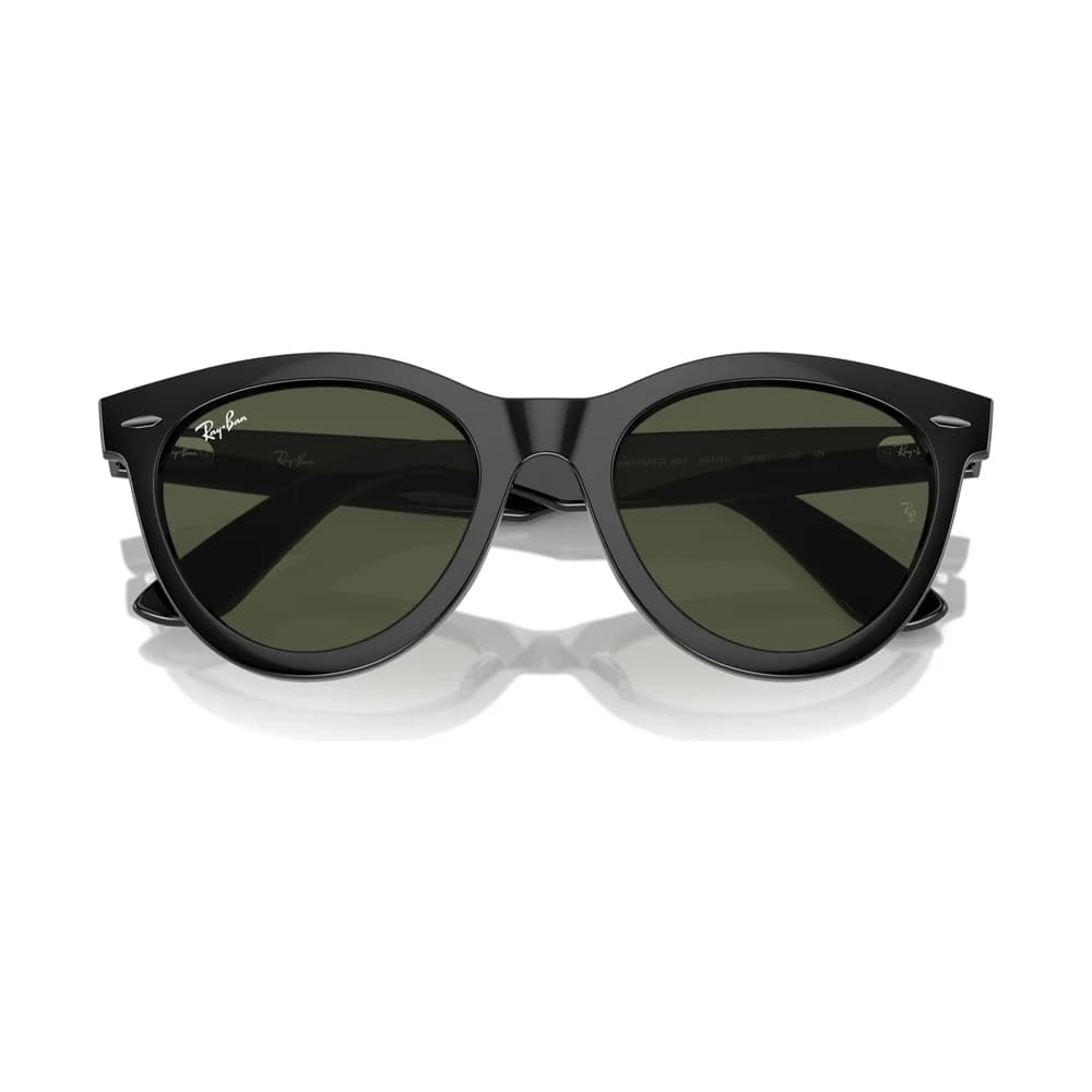 Wayfarer Way 2241